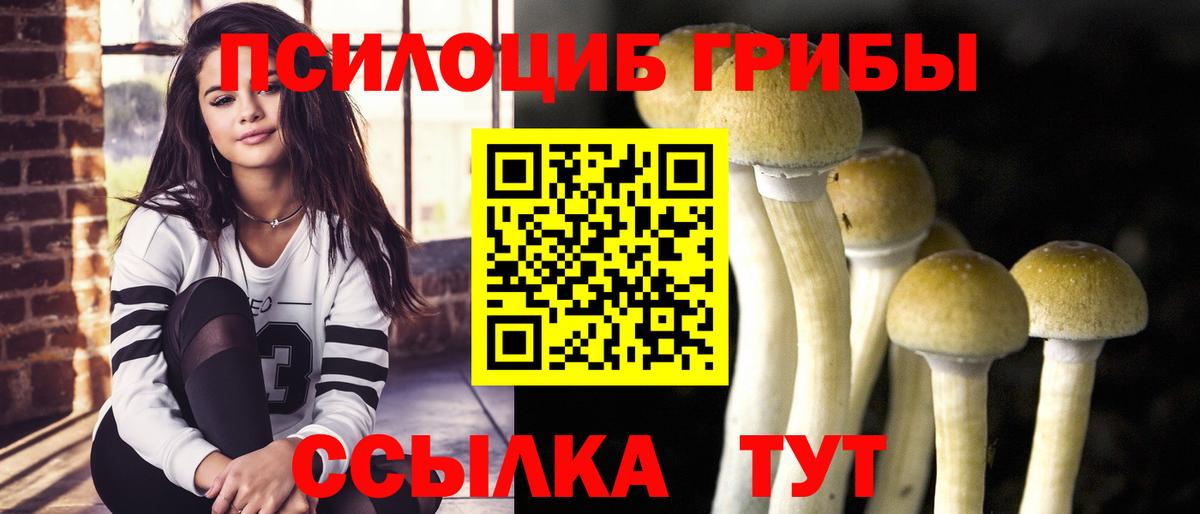 Галлюциногенные грибы Psilocybe  купить наркотики цена  Ярославль  Вход с VPN 